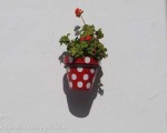 Different coloured flower pots and geraniums galore in the old town of Estepona. Spanish So Simple Courses in Estepona, Marbella and Online