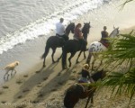 Horseriding on the beach in Estepona. www.spanishsosimple.com