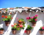 Blue skies and more, yes more and more potted geraniums. www.spanishsosimple.com
