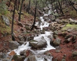 Water cascading down the mountainside in winter. Sierra Bermeja, Estepona