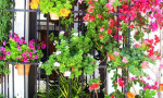 Scenes of Andalucía. Spanish So Simple Courses in Marbella, Estepona or Online.