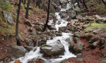 Water cascading down the mountainside in winter. Sierra Bermeja, Estepona