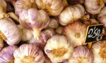 Garlic galore!