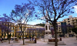 Plaza de La Merced, Málaga and the beautiful jacaranda trees