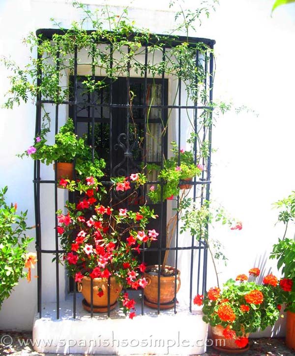 Gallery Spanish So Simple Spanish Lessons in Estepona, Elviria