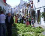 15th of May celebration of San Isidro, patron saint of farm workers  in Estepona. Spanish So Simple Courses in Estepona and Marbella