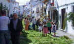 15th of May celebration of San Isidro, patron saint of farm workers  in Estepona. Spanish So Simple Courses in Estepona and Marbella