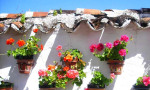 Blue skies and more, yes more and more potted geraniums. www.spanishsosimple.com
