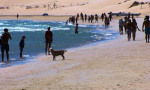 Atlantic beaches are something else!