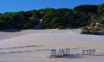 Atlantic beaches are something else!