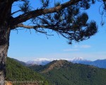 View from Sierra Bermeja across to snow capped peaks of Sierra de Las Nieves
