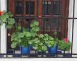 Pots of geraniums adorn village windows.