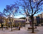 Plaza de La Merced, Málaga and the beautiful jacaranda trees