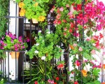 Scenes of Andalucía. Spanish So Simple Courses in Marbella, Estepona or Online.