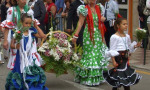 15th of May celebration of San Isidro, patron saint of farm workers  in Estepona. Spanish So Simple Courses in Estepona and Marbella