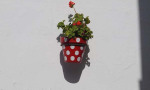 Different coloured flower pots and geraniums galore in the old town of Estepona. Spanish So Simple Courses in Estepona, Marbella and Online