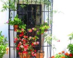 White- washed houses and beautiful vibrant colours in Andalucia.  Spanish So Simple Lessons in Elviria, Marbella and Estepona.