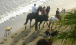 Horseriding on the beach in Estepona. www.spanishsosimple.com